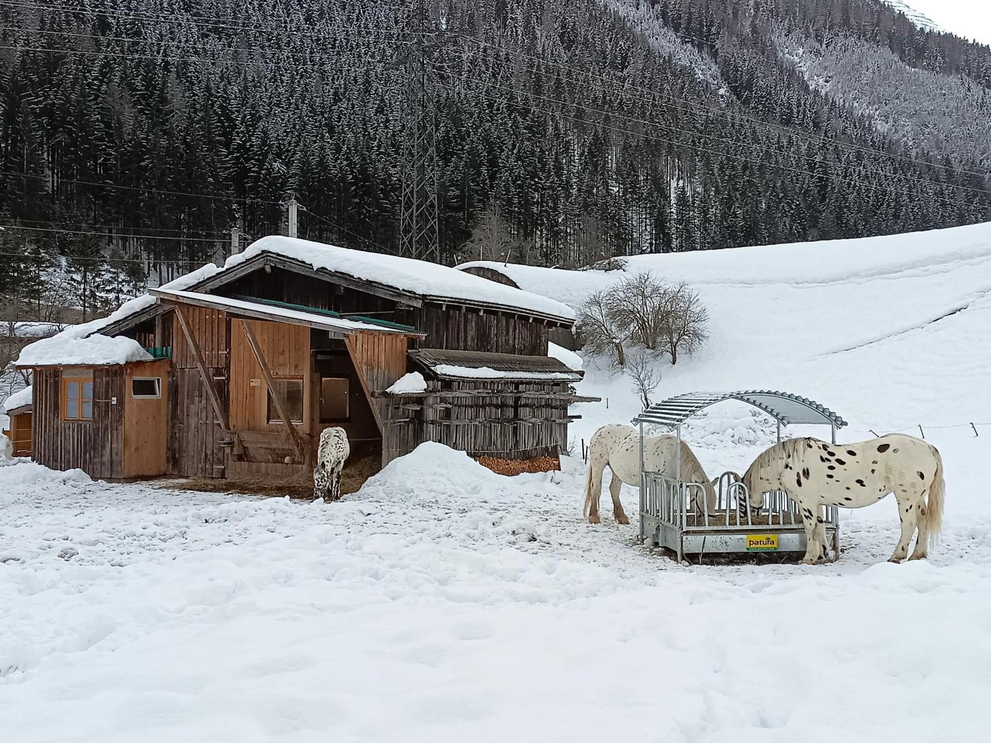 Burgerhof Villa Pettneu am Arlberg Dış mekan fotoğraf